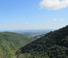 20140817_krndija_017