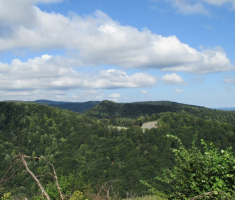 20140817_krndija_018