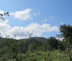 20140817_krndija_020