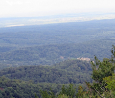 20140824_krndija_003