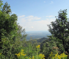 20140824_krndija_009
