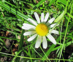20140824_krndija_024
