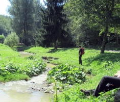 20140830_papuk_024