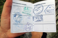 07.09.2014. - Južna terasa