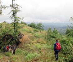 20140914_tocak_015
