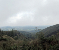 20140914_tocak_026