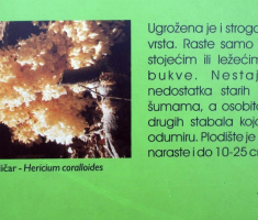 20140921_papuk_040