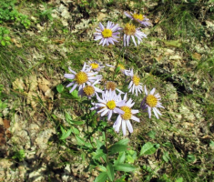 20140921_papuk_047