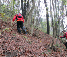 20141026_papuk_002