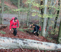 20141026_papuk_021