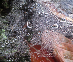20141026_papuk_039