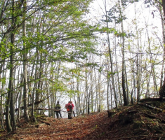 20141026_papuk_045