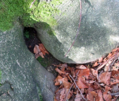20141102_papuk_012