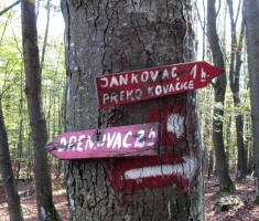20141102_papuk_016