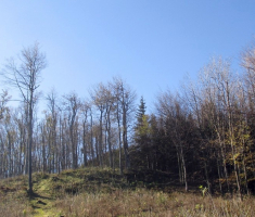 20141102_papuk_026