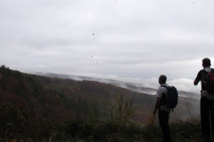 09.11.2014. - Krdnija