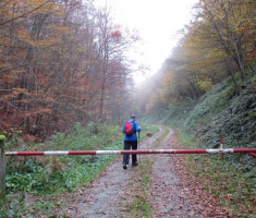 20141109_krndija_002