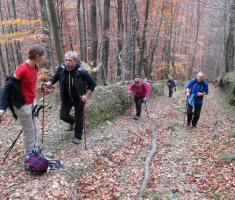 20141109_krndija_004