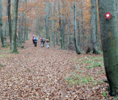 20141109_krndija_007