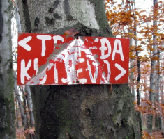 20141109_krndija_008