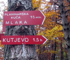 20141109_krndija_013