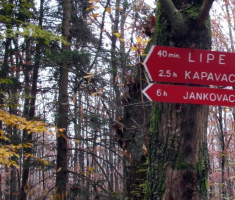 20141109_krndija_014