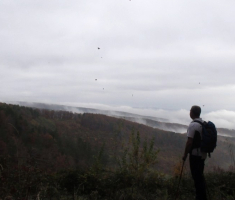 20141109_krndija_020