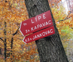 20141109_krndija_027