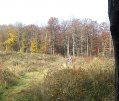 20141109_krndija_037
