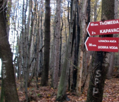 20141109_krndija_042