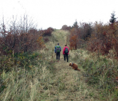 20141109_krndija_044