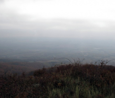 20141109_krndija_046