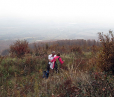 20141109_krndija_049