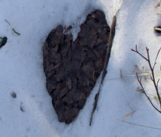 20141214_papuk_003