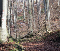 20141214_papuk_030