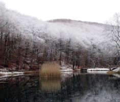 20141226_papuk_004