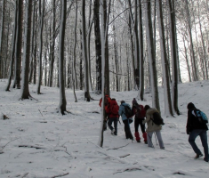 20141226_papuk_014
