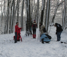 20141226_papuk_015