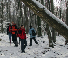 20141226_papuk_019