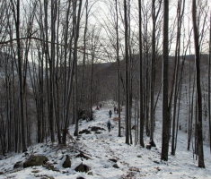 20141226_papuk_025