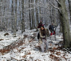 20141226_papuk_034
