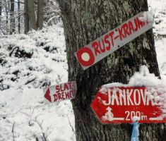 20141226_papuk_040