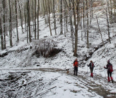 20141226_papuk_042