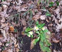 20150222_104938