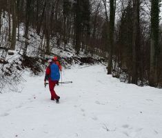 20150222_105541