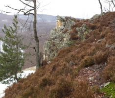 20150222_113558