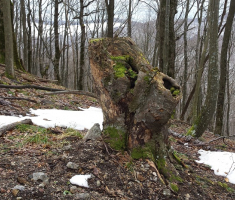 20150222_120031