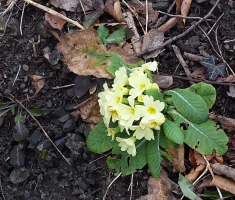 20150222_125152
