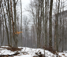 20150222_130600