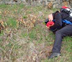 20150405_papuk_madjari_012